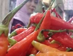 Harga Cabai Rawit Naik Picu Inflasi Kota Madiun