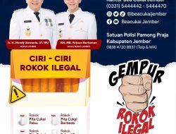 GEMPUR ROKOK ILEGAL – Bersama BEA DAN CUKAI JEMBER dan SANTUAN POLISI PAMONG PRAJA KABUPATEN JEMBER