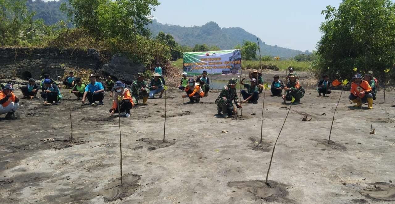 Relawan Dan Pelajar Tanam Mangrove Mencegah Abrasi Di Pesisir Pantai