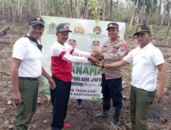 Memperingati Hari Menanam Pohon Indonesia, Perhutani KPH Banyuwangi Selatan bersama Forkopimka Tegalsari Tanam Ratusan Pohon