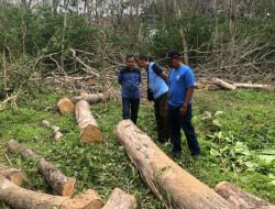 KSKPH Bondowoso Adakan Giat Cutting Test di Hadiri Jajaran Polres