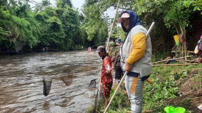 “Asatan”, Ribuan Warga dari Berbagai Daerah Berebut Ikan di Sungai Sampean Baru