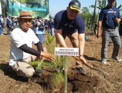 Perhutani KPH Bondowoso Bersama Forkopimcam Melaksanakan Giat Penanaman Bibit Pinus