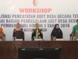 Optimalisasi Pemerintahan Desa, Pemanfaatan Aplikasi SIPADES