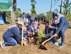 Srikandi-Srikandi Perhutani KPH Bondowoso Menggelar Acara Penanaman Bersama