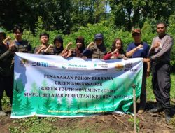 Penanaman Pohon Bersama Green Ambassador Green Youth Movement Simpul Belajar Perhutani KPH Bondowoso