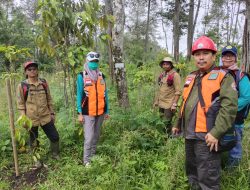 Perhutani KPH Bondowoso Melaksanakan Giat Monitoring Bersama TIM FORDAS Brantas Sampean Jatim