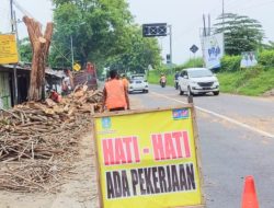 Pastikan Keamanan Pengguna Jalan, DPU Bina Marga Jatim Lakukan Pemotongan Pohon di Perbatasan Kab. Sidoarjo – Mojokerto