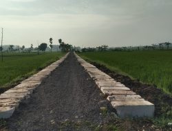 Dibangunnya JUT, Transportasi Lancar Murah Pendapatan Bertambah