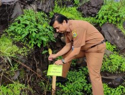 Perhutani KPH Bondowoso Wujutkan Komitmen Bersama Antisipasi dan Penanggulangan Bencana Alam