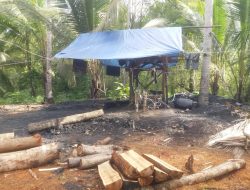 Rusak Lahan Perhutani, Aktivitas Tambang Batu Bara di Kecamatan Cihara Diminta Segera Ditutup