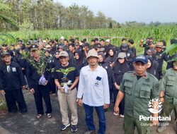 Jaga Kelestarian Hutan, Perhutani dan PSHT Lakukan Penanaman Bersama