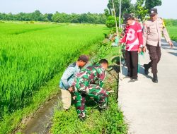 Kurangi Dampak Pemanasan Global, Babinsa Koramil Kapas Bojonegoro dan Pemdes Bendo Tanam Pohon Penghijauan