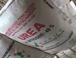 Tahun 2024, Alokasi Pupuk Bersubsidi di Bojonegoro Alami Penurunan