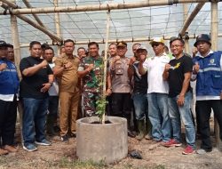 Kades Lojejer dan Dandim 0824 Jember Tanam Bibit Anggur Jenis Import