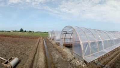 Kenalkan Greenhouse Salt, Dosen UB Bantu Atasi Kelangkaan Garam