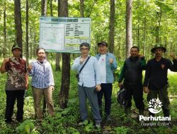 Peneliti JIRCAS Jepang Kunjungi Hutan Jati Perhutani Ngawi
