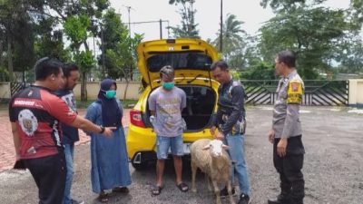 Curi Kambing Pakai Mobil Mewah, Pasutri Penjual Sate di Bondowoso Ditangkap Polisi