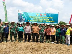Gelar Pembinaan Ketahanan Pangan Terpadu, Kodim Bojonegoro Tanam Perdana Jagung