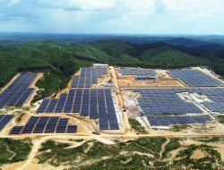 Energi Ramah Lingkungan, PLTS Tahap 1 Kapasitas 10 MW di IKN Sukses Dioperasikan