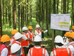 Perhutani Divre Jatim Terima Kunjungan Tim Asdep IPK Kementerian BUMN, Tinjau Pengelolaan Hutan di Jawa Timur