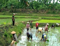 Alokasi Pupuk Subsidi Nasional Bertambah, Pemkab Bojonegoro Tambah Kuota untuk Petani