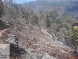 Kawasan Suaka Margasatwa Dataran Tinggi Yang di Gunung Argopuro Bakal Kembali Dibuka Per 1 Mei
