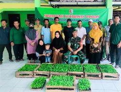 Dukung Ketahanan Pangan, Pemdes Tulungrejo bersama Babinsa Koramil Sumberrejo Bojonegoro Sosialisasikan Gerakan Tanam Cabai