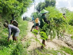 Siapkan Sasaran Fisik TMMD 120, Babinsa Kodim Bojonegoro dan Warga Napis bersih-bersih Jalan Poros Desa