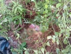 Banyak Luka Tusuk, Polres Mesuji Selidiki Tewasnya Siswi SMA di Dalam Parit