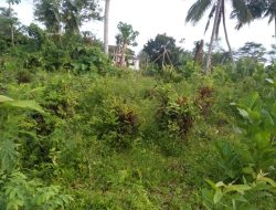 Kades Sukosari Lor Bondowoso Dilaporkan Polisi, Ini Penyebabnya