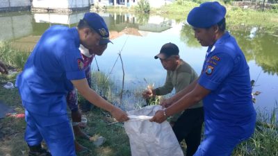 Peduli Kawasan Pesisir, Satpolairud Polresta Sidoarjo Bersihkan Sampah Bersama Warga