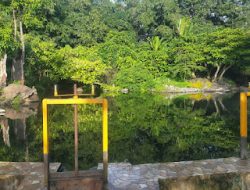 Desa Wisata Margoyoso Dianugerahi Sertifikat Pembayar Pajak Terbaik dan ADD Tahap Satu 2024 untuk Pembangunan