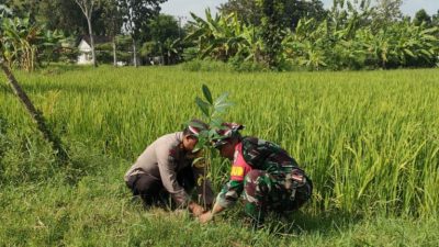 Jelang Hari Bhayangkara ke-78, Polsek Sumberrejo Bersama Forpimca Laksanakan Gerakkan Penanaman Pohon