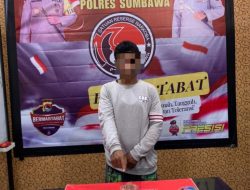 Pengedar Narkoba Diringkus Sat Resnarkoba Polres Sumbawa, Belasan Poket Sabu Diamanakan