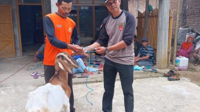 Perhutanai KPH Lawu Ds Gelar Gebyar Sadapan Berhadiah Seekor Kambing