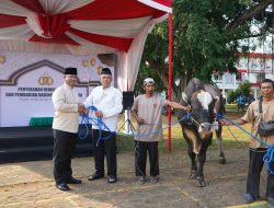 Peringati Idul Adha 1445 H, Jajaran Polda Jateng Sembelih 176 Sapi dan 215 Kambing