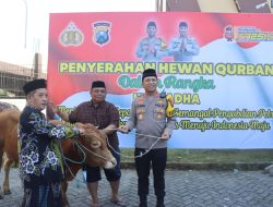 Polresta Sidoarjo Salurkan Hewan Korban 21 Ekor Sapi dan 55 Ekor Kambing ke Masyarakat