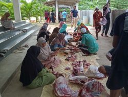 Takmir Masjid Al-Munawar Sukses Salurkan Hewan Kurban 1445 H
