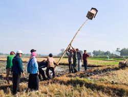 Tekan Hama Tikus, Babinsa Koramil Kalitidu Bojonegoro Bantu Petani Pasang Rubuha