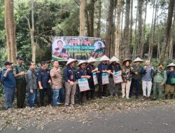 Kadishut Jatim Bersama ADM Perhutani KPH Bondowoso Petik Kopi Arabika di Petak Blok 23 RPH Sukorejo