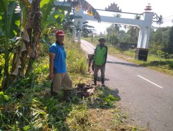 Pekon Wayharong Laksanakan Fiat Gotong Royong Bersih Bersih Desa
