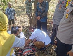 Quick Respons Polsek Jatisrono Evakuasi Orang Gantung Diri