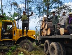 Giat Trabas Buana, Administratur KPH Bondowoso Terjun Langsung Pantau Lokasi Tebang Habis