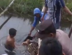 Geger! Warga Desa Semuli Raya Digemparkan Penemuan Mayat Bayi Tersangkut di Aliran Irigasi