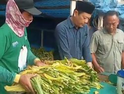 H. Abdul Ghofur Cabup Lamongan 2024-2029 Merasa Senang Bisa Berdialog Bersama Petani Tembakau