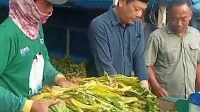 H. Abdul Ghofur Cabup Lamongan 2024-2029 Merasa Senang Bisa Berdialog Bersama Petani Tembakau