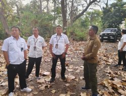 Kadivre Perum Perhutani Jawa Timur Sidak ke Wilayah Kerja KPH Bondowoso