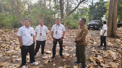 Kadivre Perum Perhutani Jawa Timur Sidak ke Wilayah Kerja KPH Bondowoso