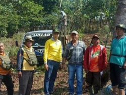 Kasi Madya PSDH Beserta Jajaran Pantau Langsung Tebang Habis Pinus di BKPH Sumber Wringin